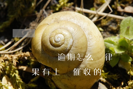 買單俠逾期怎么問律師(買單俠不還有什么后果,有上門催收的嗎)