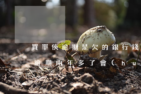 買單俠逾期是欠的銀行錢嗎(買單俠欠款三千逾期兩年多了會(huì)被凍結(jié)賬號(hào)嗎)