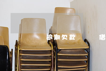 買單俠逾期欠款(買單俠借款不還有什么后果)