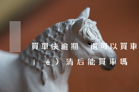 買單俠逾期沒還可以買車嗎(逾期一年結(jié)清后能買車嗎)