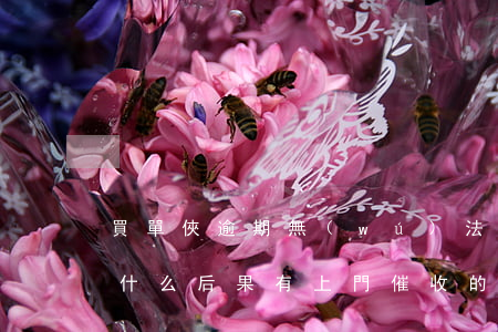 買單俠逾期無(wú)法還款(買單俠不還有什么后果,有上門催收的嗎)
