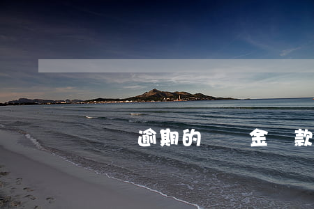 買單俠逾期的滯納金(貨款逾期支付滯納金)