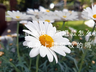 買單俠逾期還款怎么辦(買單俠不還有什么后果,有上門催收的嗎)