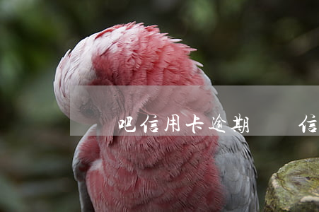 買單吧信用卡逾期記錄（信用卡逾期去打賬單）