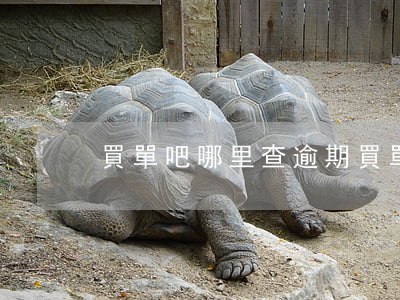 買單吧哪里查逾期(買單吧哪里查逾期了)