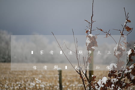 買家借唄逾期多久上征信(借唄逾期幾天上征信?借期幾天上征信)