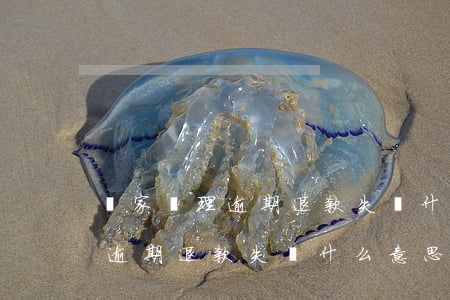買家處理逾期退款失敗什么意思-買家處理逾期退款失敗什么意思啊