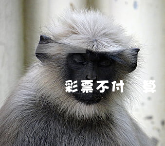 買彩票不付錢算詐騙嗎(買彩票不付錢算詐騙嗎)