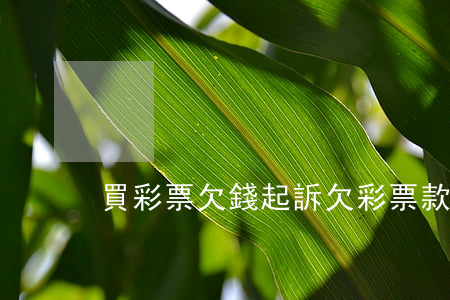 買彩票欠錢起訴 欠彩票款不還如何起訴