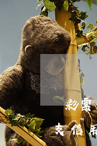 買彩票透支信用卡80萬(wàn)(賭博透支信用卡40萬(wàn))