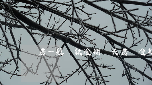 買房一般貸款逾期幾天(房貸逾期幾天算逾期)