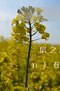 買房之后要辦什么手續(xù)(現(xiàn)在買房需要啥手續(xù))