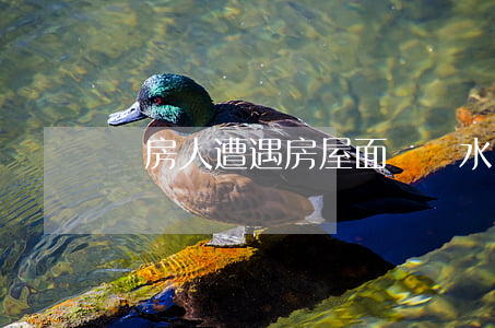 買房人遭遇房屋面積縮水應當怎么辦