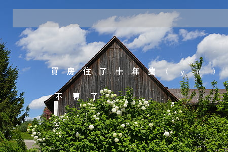 買房住了十年，業(yè)主突然告訴我房子不賣了......