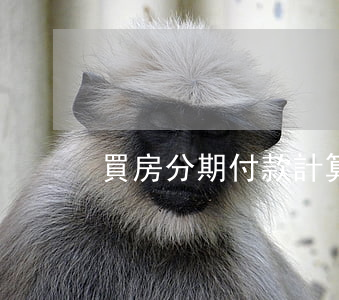 買房分期付款計算(買房分期付款計算軟件)