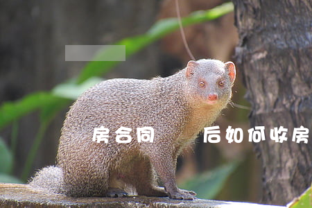 買房合同簽訂后如何收房