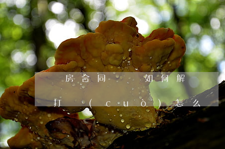 買房合同糾紛如何解決(購(gòu)房合同打錯(cuò)怎么處理)