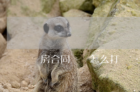 買房合同糾紛怎么打