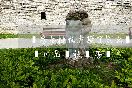 買房后捷信逾期了怎么辦(捷信金融逾期會影響以后貸款買房嗎)