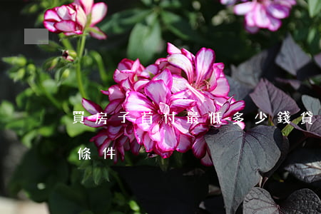 買房子首付最低多少錢（貸款買房需要滿足的條件）