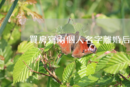 買房寫兩個人名字離婚后怎么辦