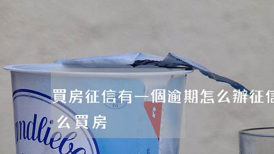 買房征信有一個逾期怎么辦（征信逾期一年怎么買房）