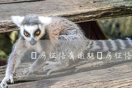 買房征信有逾期 買房征信有逾期能貸款嗎