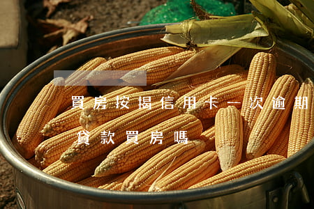 買房按揭信用卡一次逾期(信用卡逾期一次能貸款買房嗎)