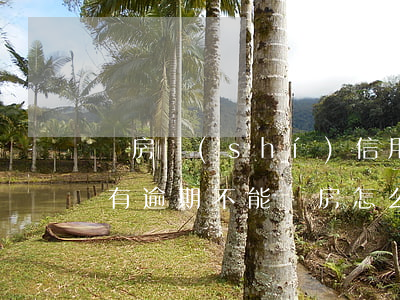 買房時(shí)信用卡沒逾期怎么辦(征信有逾期不能買房怎么辦)