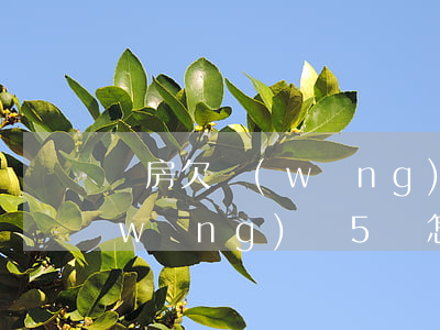 買房欠網(wǎng)貸5萬怎么還(欠網(wǎng)貸5萬怎么還好解決)