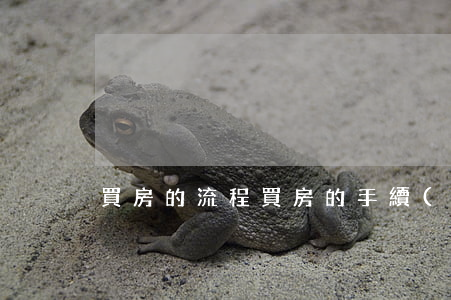 買房的流程(買房的手續(xù)流程)