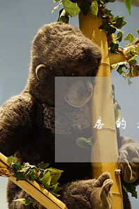 買房的流程(買房的流程怎么走)