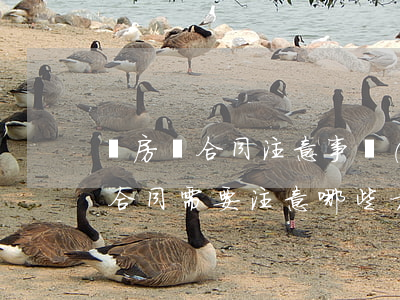 買房簽合同注意事項(xiàng)(簽買房合同需要注意哪些方面)