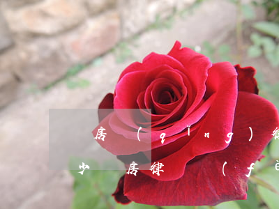 買房請(qǐng)律師費(fèi)用多少(買房律師費(fèi)要多少錢)