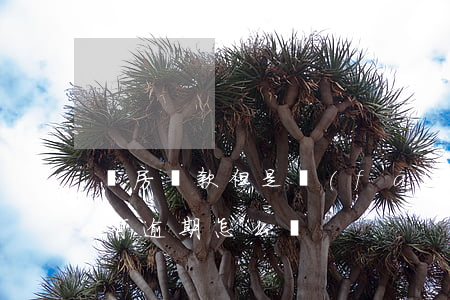 買房貸款但是發(fā)生過逾期(買房貸款有逾期怎么辦)