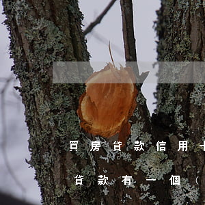 買房貸款信用卡免費(fèi)有逾期(買房貸款有一個(gè)信用卡逾期了可以貸款嗎)