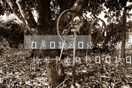 買房貸款因為信用卡有逾期(個人信用報告有信用卡逾期影響貸款買房嗎)