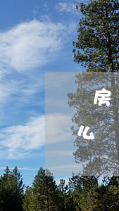 買房貸款征信證明有逾期(買房征信有逾期怎么辦)