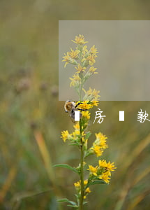 買房貸款男方逾期(房貸逾期買車可以貸款嗎)