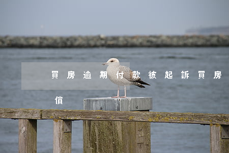 買房逾期付款被起訴(買房人逾期付款怎么賠償)