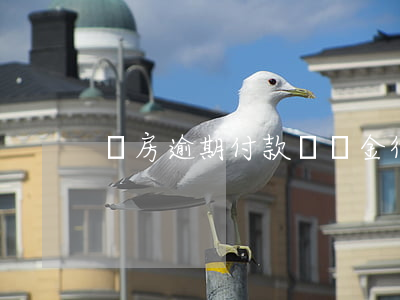 買房逾期付款違約金律師函 購房違約律師函