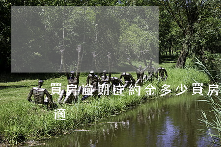 買房逾期違約金多少(買房逾期違約金多少合適)
