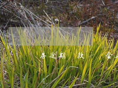 買房逾期還款違約金(房貸逾期有違約金嗎)