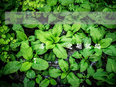 買房過戶逾期被起訴(買房子還沒過戶給逾期了)