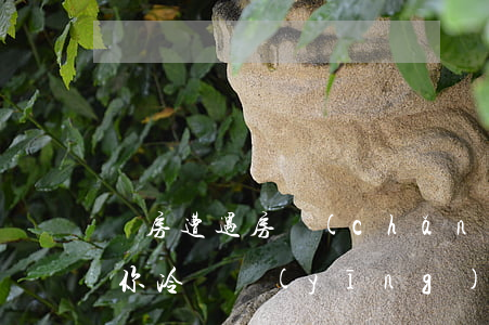 買房遭遇房產(chǎn)糾紛五大案例教你冷靜應(yīng)對