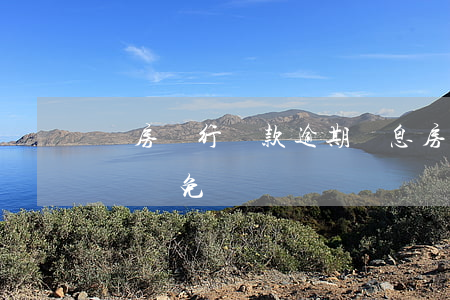 買房銀行貸款逾期罰息(房貸逾期罰息可以申請減免嗎)