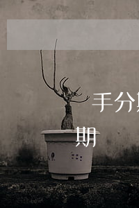 買手分期付款逾期有沒(méi)有影響(分期買東西逾期后會(huì)怎么樣)