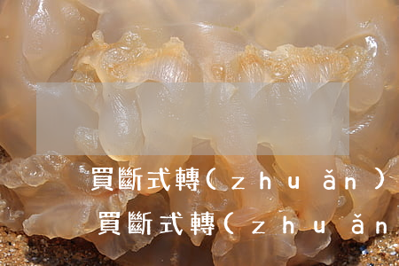 買斷式轉(zhuǎn)貼現(xiàn)(買斷式轉(zhuǎn)貼現(xiàn))