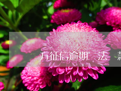 買方征信逾期無法貸款(買房征信有逾期怎么辦)