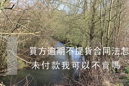 買方逾期不提貨合同法怎么處理-買方逾期未付款我可以不賣嗎